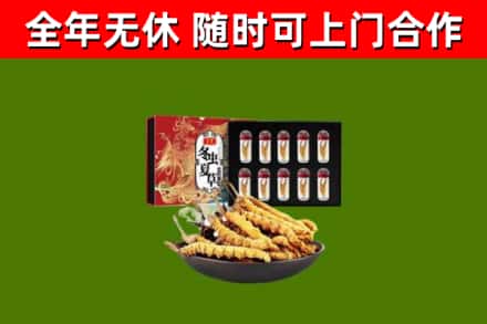 迎泽烟酒回收冬虫夏草礼盒.jpg